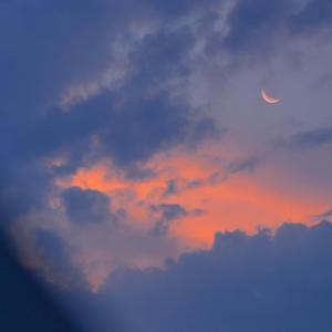 丰满直播美女裸体做爱视频
